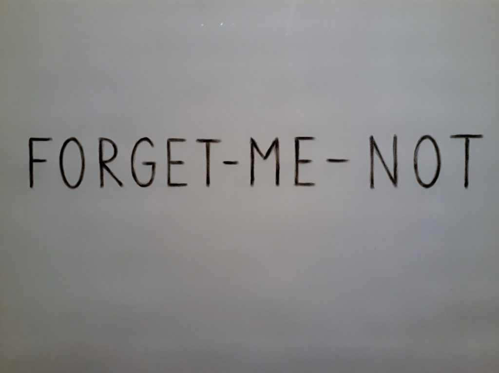 Kris Martin, "Forget Me Not", Asche von Vergissmeinnicht auf Papier. Foto © Urszula Usakowska-Wolff
