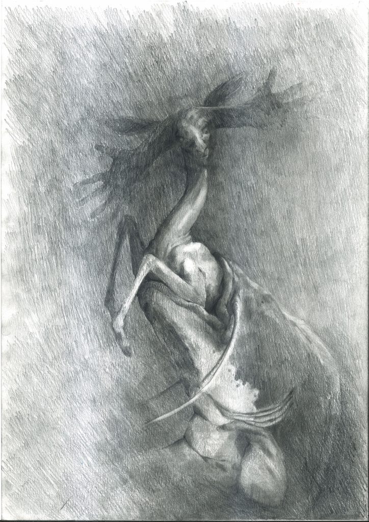 Irmina Pisarek, Ohne Titel, 2019. Bleistift auf Papier, 29,7 x 42 cm
